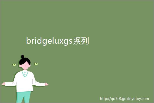 bridgeluxgs系列